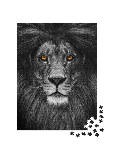 Puzzle 1000 pezzi „Ritratto di un leone dallo sguardo di fuoco“