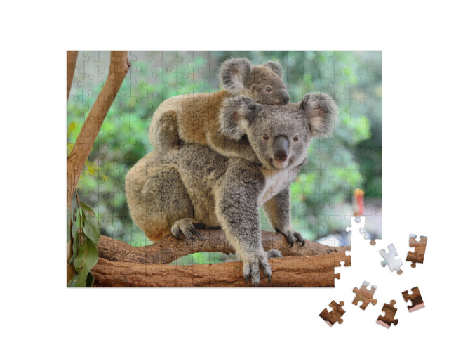 Puzzle 200 pezzi „Madre koala con il piccolo sulla schiena su un albero di eucalipto“