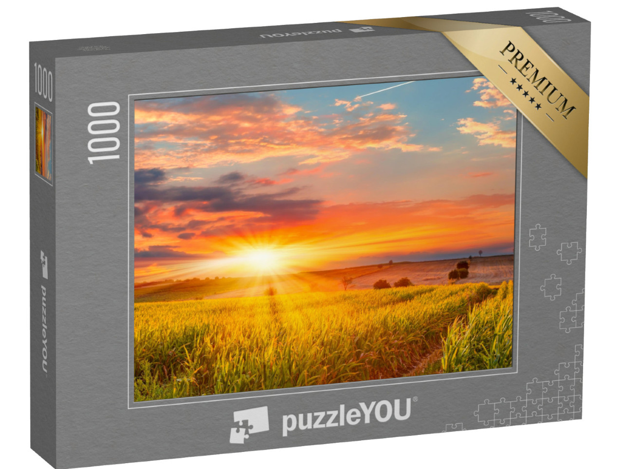 Puzzle 1000 pezzi „Alba su un campo di grano“