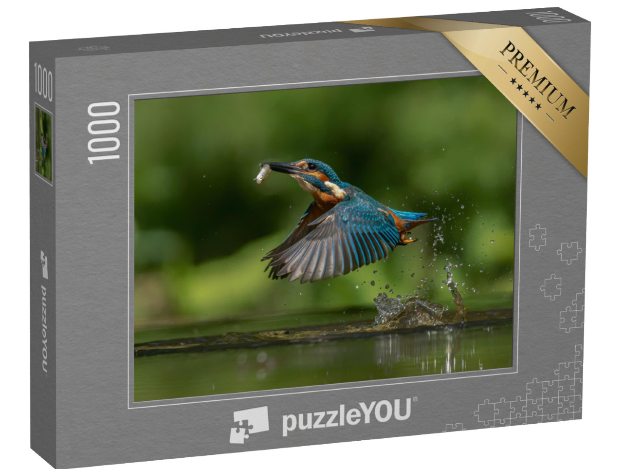 Puzzle 1000 pezzi „Martin pescatore europeo, Alcedo atthis, con un pesce come preda“