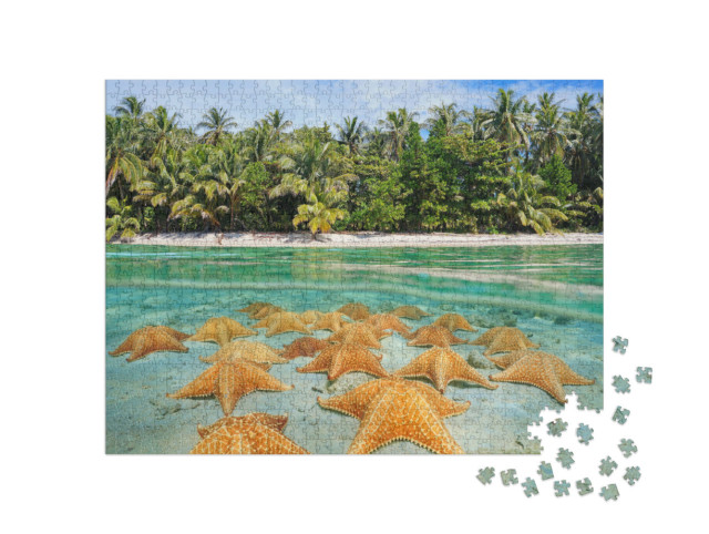 Puzzle 1000 pezzi „Un gruppo di stelle marine su una spiaggia caraibica“