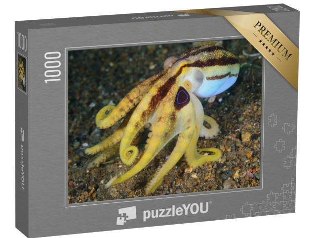 Puzzle 1000 pezzi „Polpo giallo velenoso sul fondale marino“