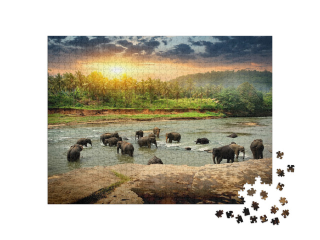 Puzzle 1000 pezzi „Branco di elefanti che fa il bagno nella giungla dello Sri Lanka“