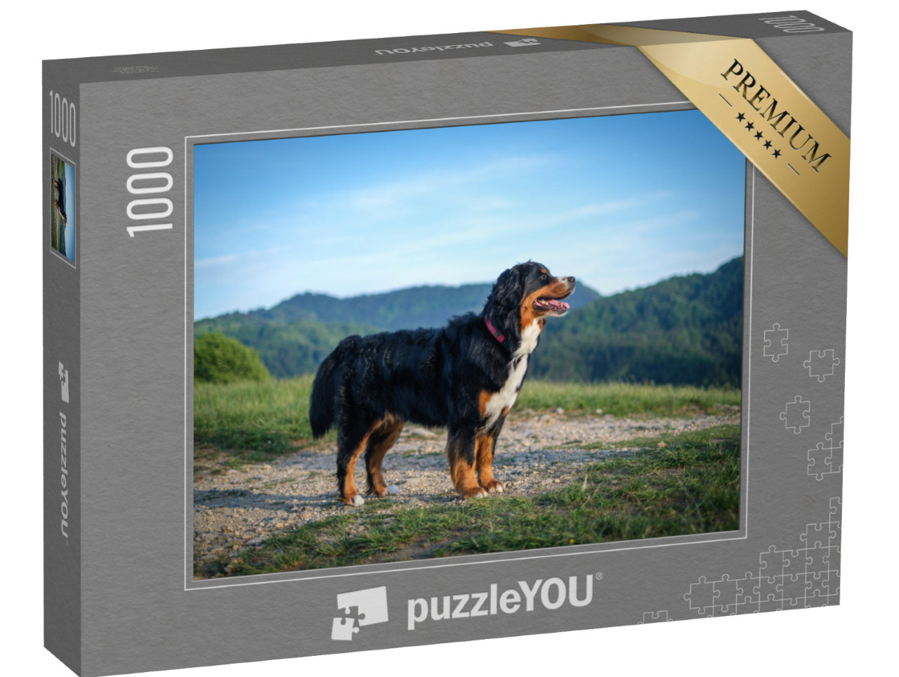 Puzzle 1000 pezzi „Un cane da montagna bernese prende il sole di sera“