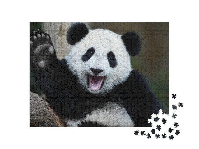 Puzzle 1000 pezzi „Un panda giocherellone“