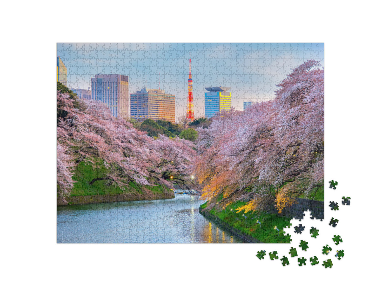 Puzzle 1000 pezzi „Fiori di ciliegio nel parco Chidorigafuchi di Tokyo“