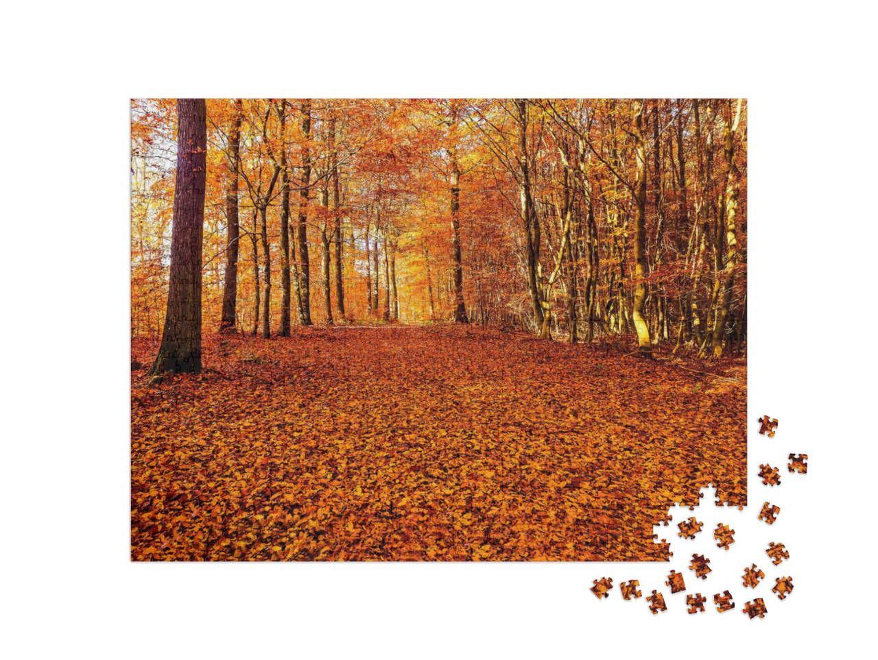 Puzzle 1000 pezzi „Una strada di foglie autunnali nella foresta“