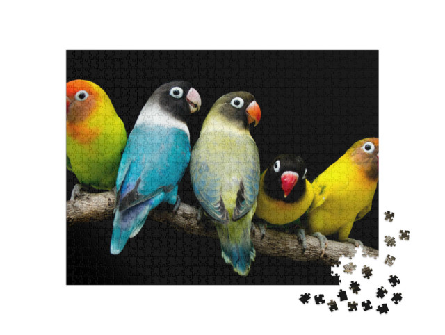 Puzzle 1000 pezzi „Pappagallo dai magnifici colori“