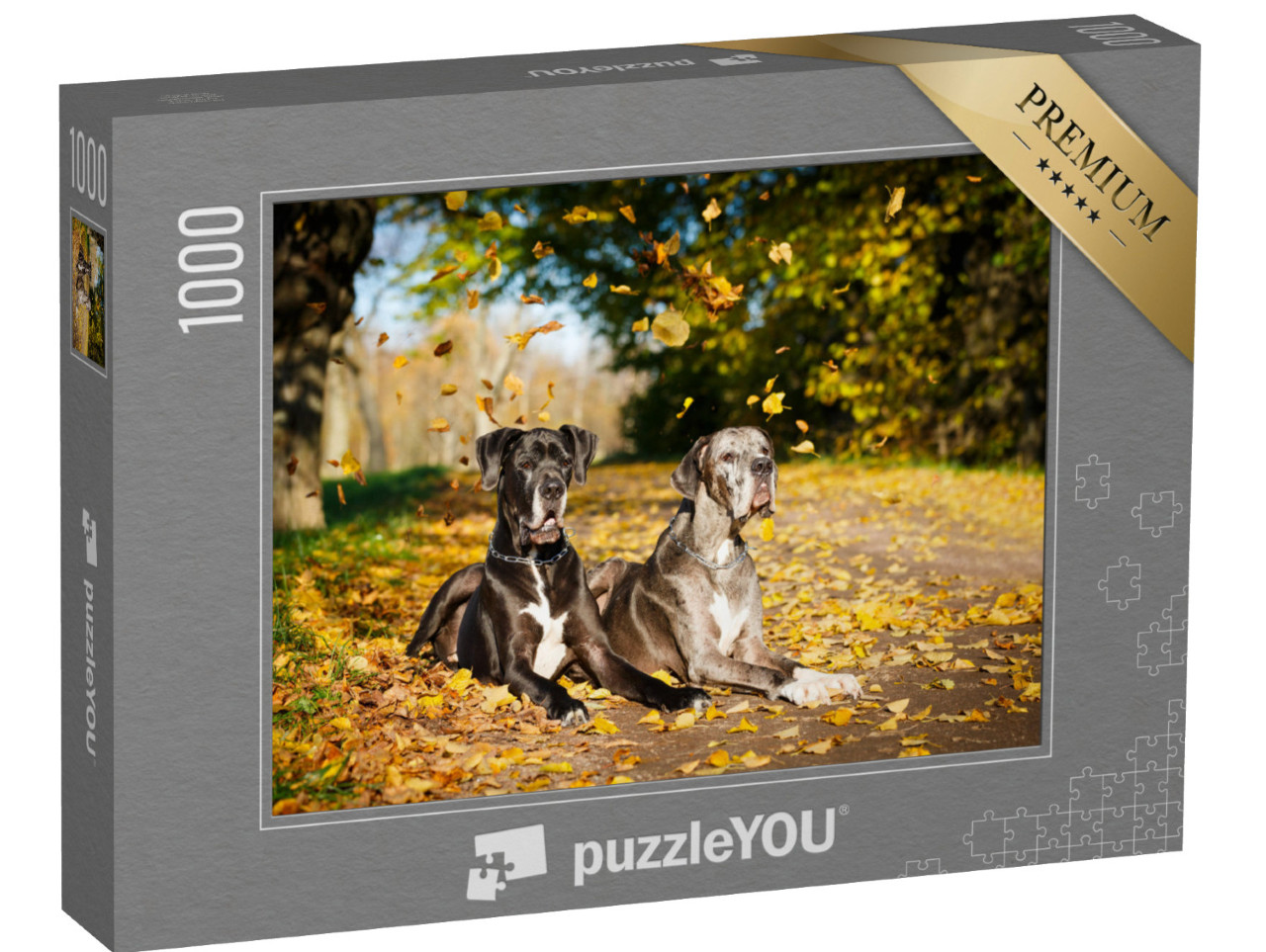 Puzzle 1000 pezzi „Due cani alani“