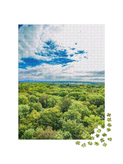 Puzzle 1000 pezzi „Le antiche foreste di faggio del Parco Nazionale di Hainich, Germania“