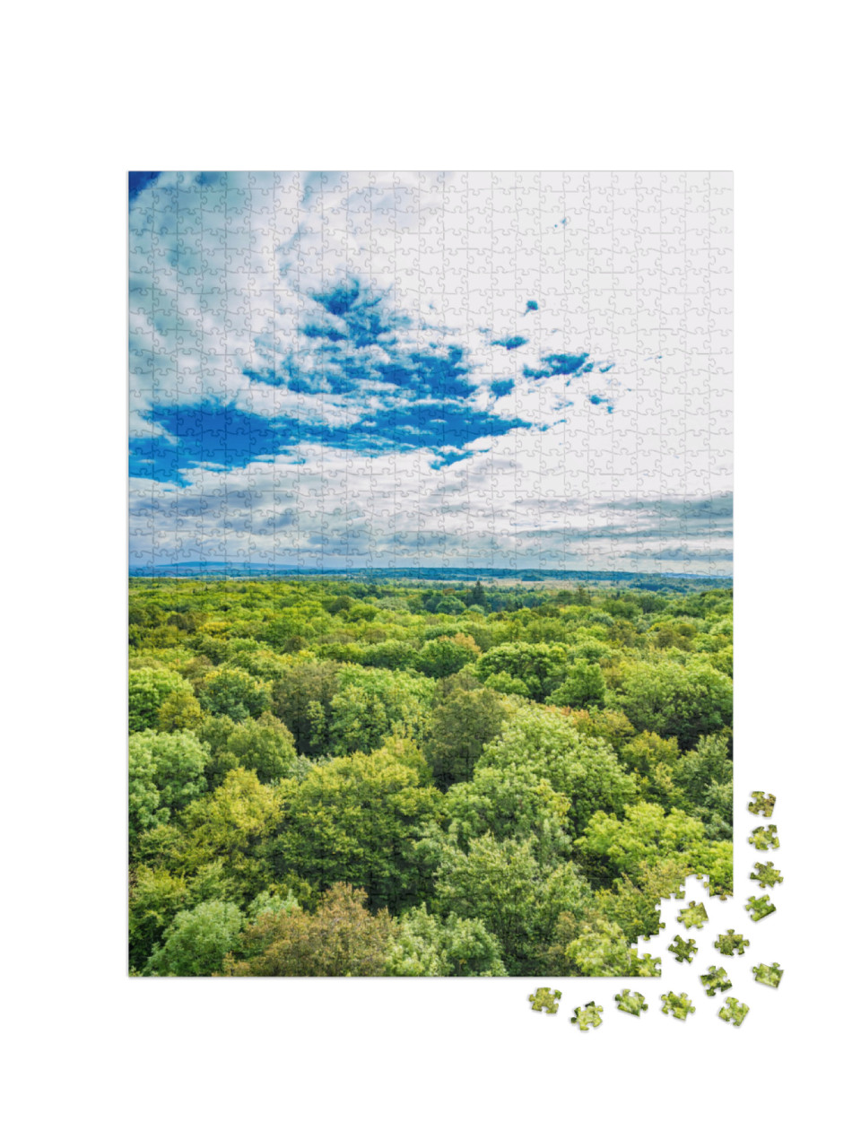 Puzzle 1000 pezzi „Le antiche foreste di faggio del Parco Nazionale di Hainich, Germania“