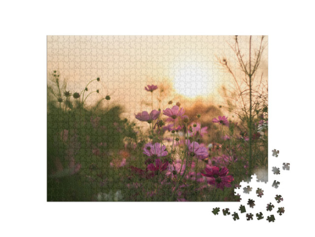 Puzzle 1000 pezzi „Cosmea in fiore alla luce della sera“