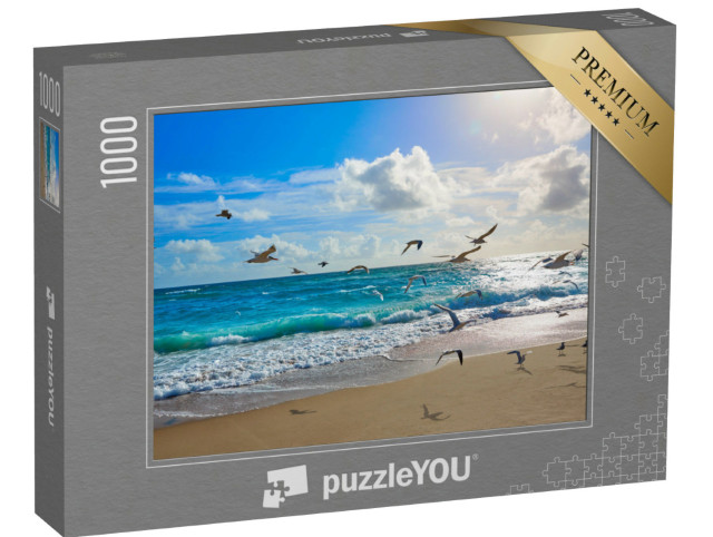 Puzzle 1000 pezzi „Gabbiani a Palm Beach, Florida, USA“