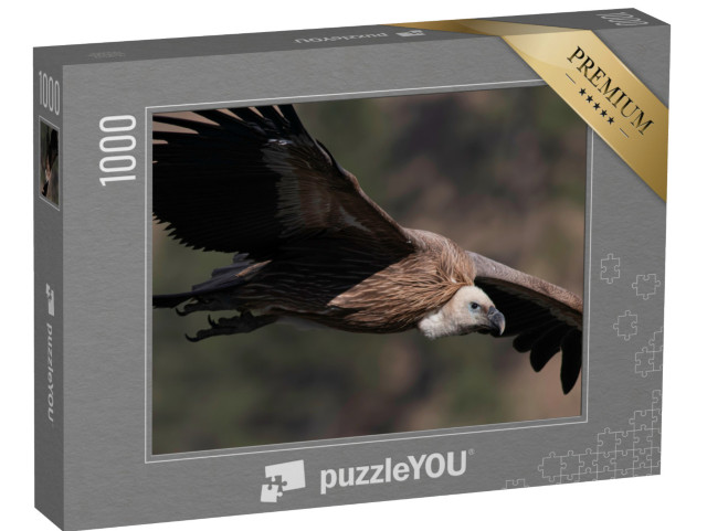 Puzzle 1000 pezzi „Grifone in volo“