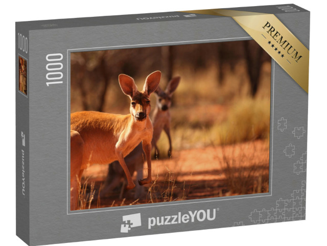 Puzzle 1000 pezzi „Canguri nelle sabbie rosse dell'outback centrale australiano“