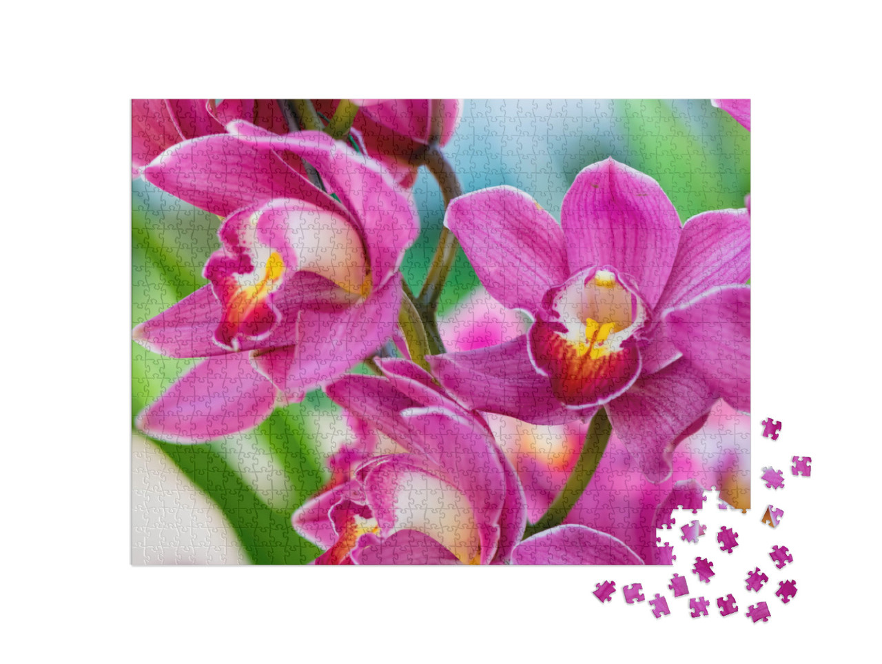 Puzzle 1000 pezzi „Orchidee nel Parco Reale di Rajchapuak, Chiangmai, Thailandia“