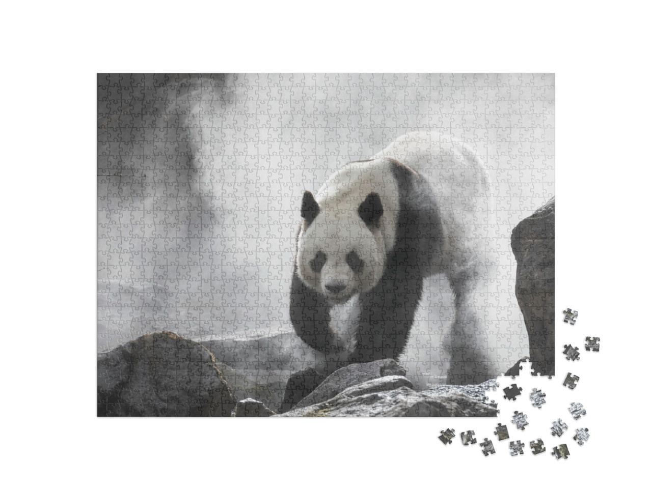 Puzzle 1000 pezzi „Panda gigante nella nebbia“