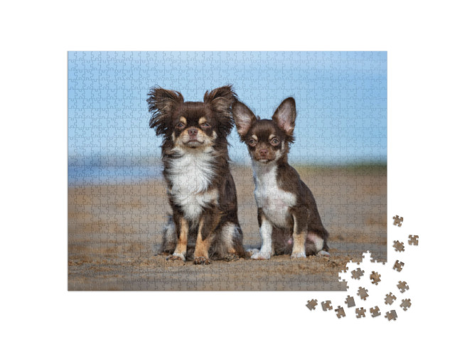 Puzzle 1000 pezzi „Chihuahua e cucciolo fuori“