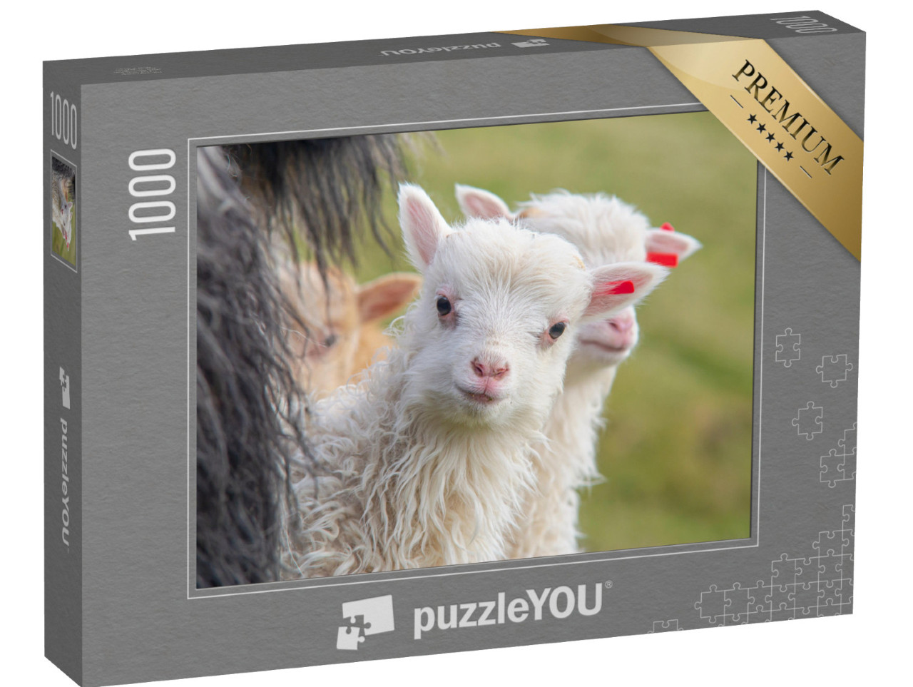 Puzzle 1000 pezzi „Un agnello guarda curioso nella macchina fotografica“