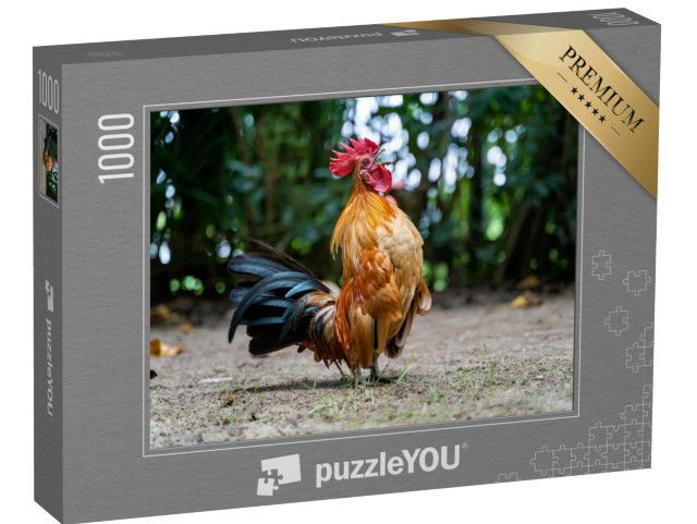 Puzzle 1000 pezzi „Un gallo canta a squarciagola“