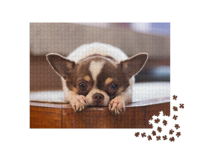 Puzzle 1000 pezzi „Cane solitario“