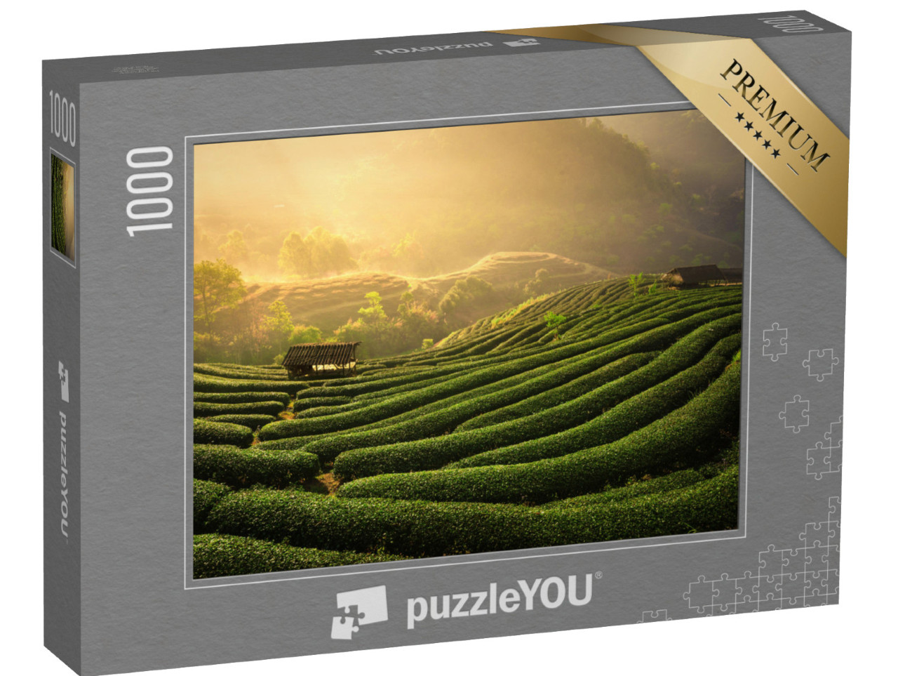 Puzzle 1000 pezzi „Piantagioni di tè alla luce del mattino“