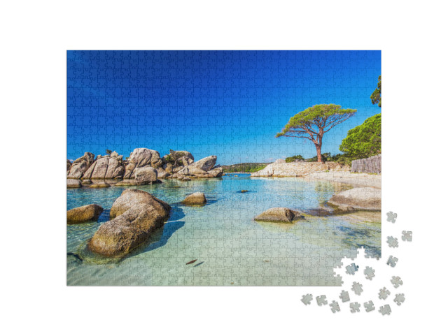 Puzzle 1000 pezzi „Un pino sulla spiaggia di Palombaggia, nella Corsica meridionale“