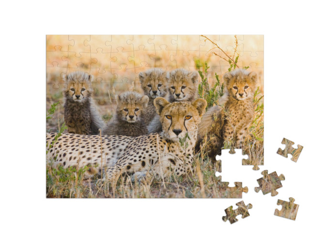 Puzzle 100 pezzi „Madre ghepardo e i suoi cuccioli nella savana, Kenya“