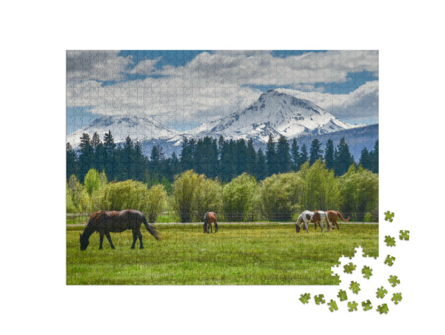 Puzzle 1000 pezzi „Cavalli sulla catena montuosa di Cascade, Oregon, USA“