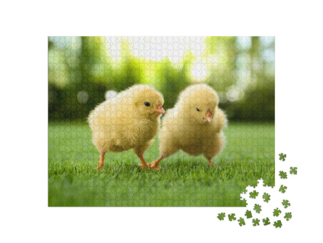 Puzzle 1000 pezzi „Due soffici pulcini su un prato verde“