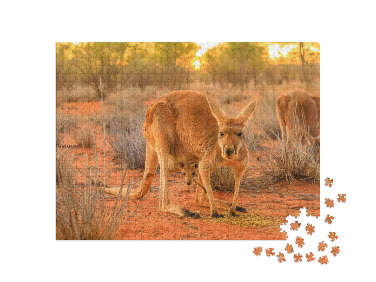 Puzzle 1000 pezzi „Femmina di canguro rosso con un gattino nel marsupio“