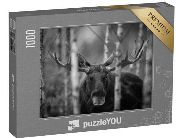 Puzzle 1000 pezzi „Ritratto di alce, Nord America“