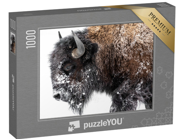 Puzzle 1000 pezzi „Bisonte in cammino sulla neve“