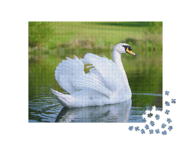 Puzzle 1000 pezzi „Lago con cigno bianco“