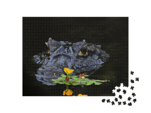 Puzzle 1000 pezzi „I caimani sono coccodrilli“