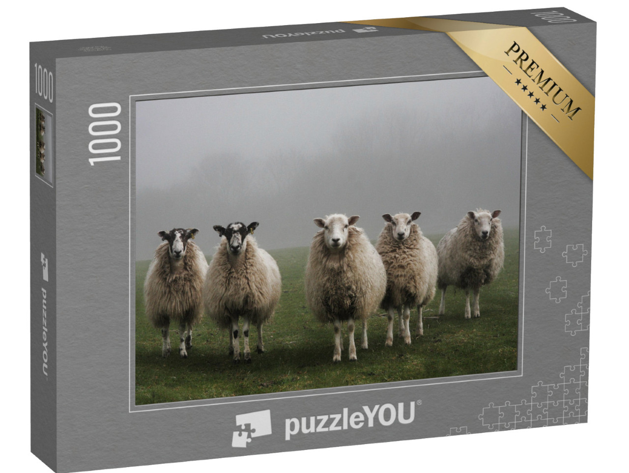 Puzzle 1000 pezzi „Cinque pecore in un campo in una mattina nebbiosa nel Dorset“