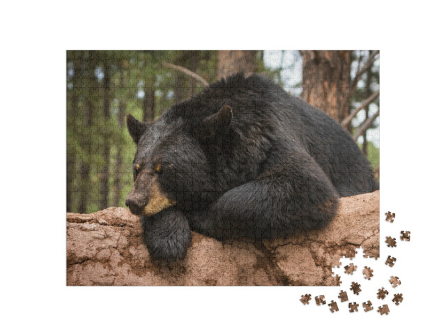 Puzzle 1000 pezzi „Un orso su un tronco d'albero“
