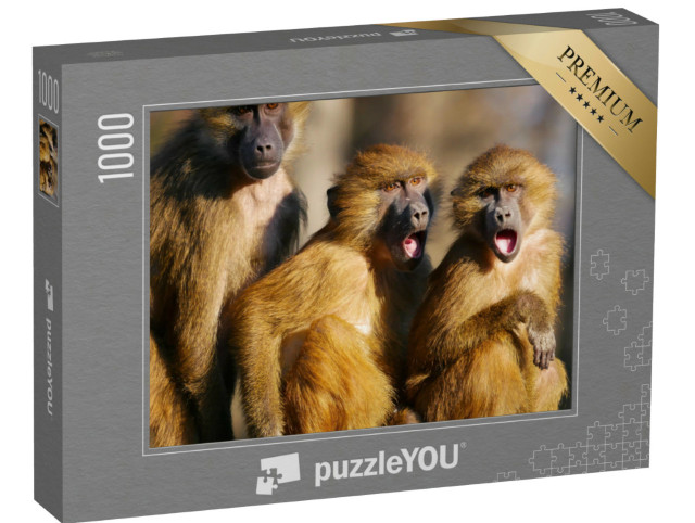Puzzle 1000 pezzi „Eccitazione nella famiglia dei babbuini“