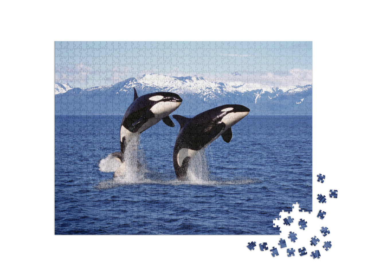 Puzzle 1000 pezzi „Due orche davanti a un paesaggio montano“