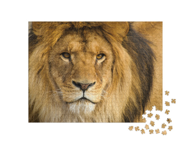 Puzzle 1000 pezzi „Ritratto di un leone maschio“