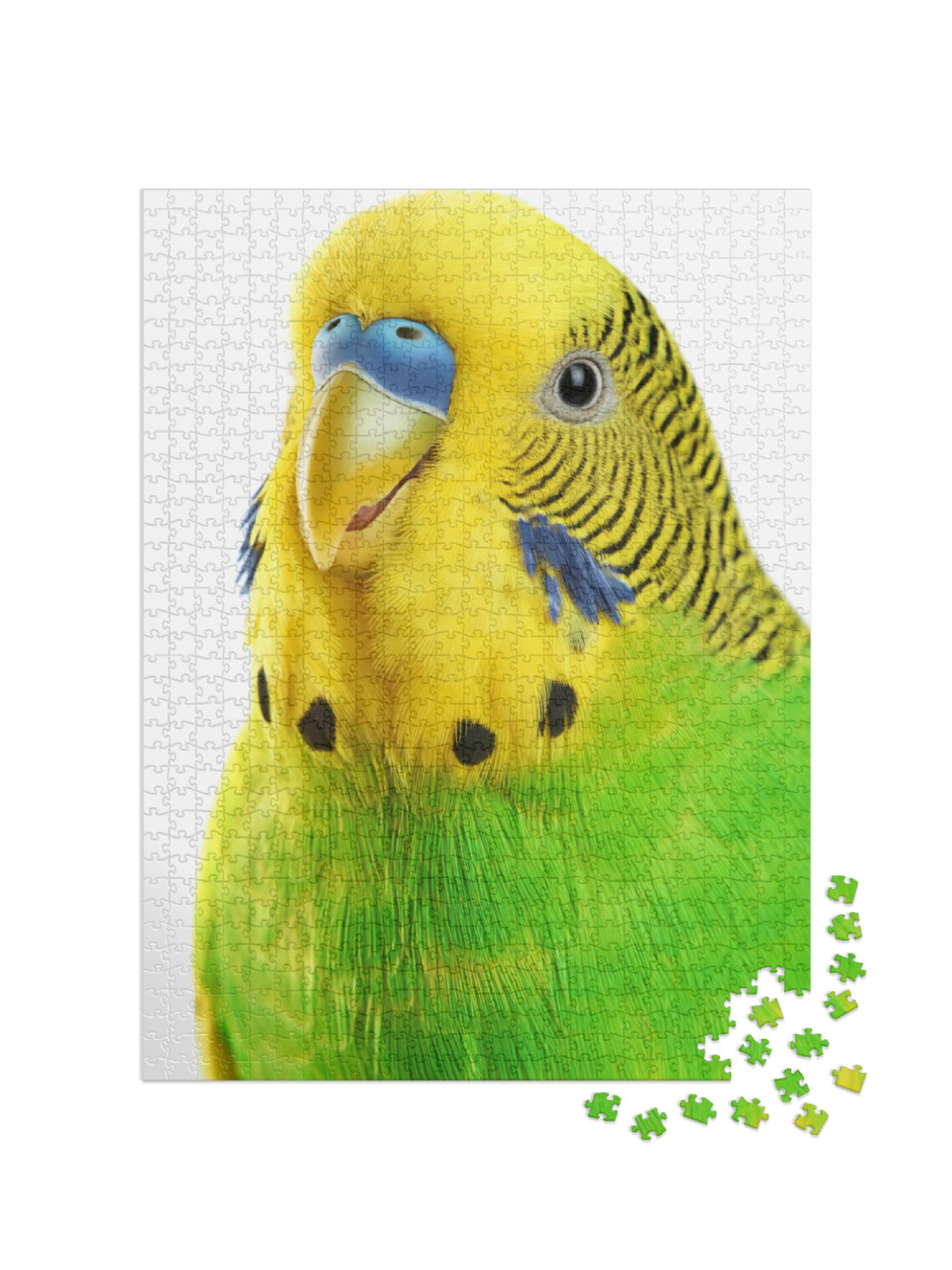Puzzle 1000 pezzi „Ritratto di un pappagallino giallo-verde“