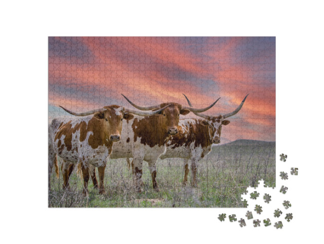 Puzzle 1000 pezzi „Bovini longhorn del Texas su un pascolo nell'Oklahoma Panhandle“