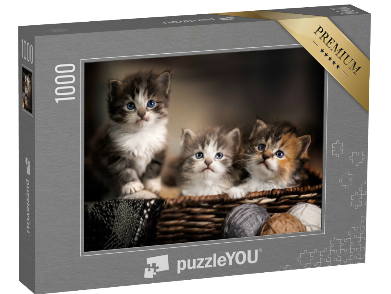 Puzzle 1000 pezzi „Tre teneri gattini, primo piano“