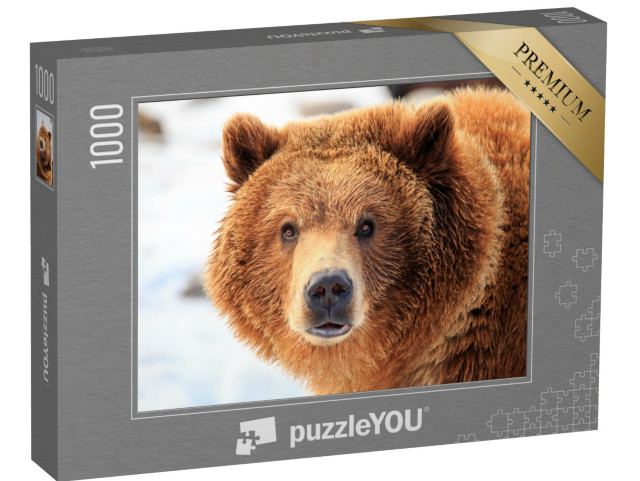 Puzzle 1000 pezzi „Orso grizzly“