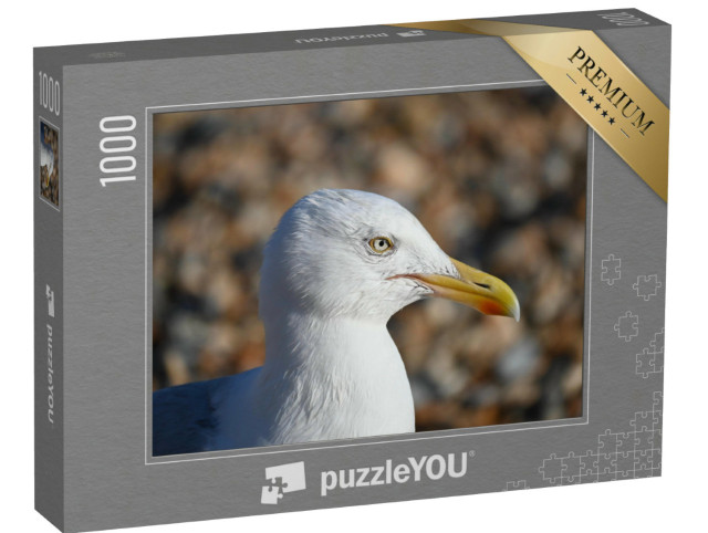 Puzzle 1000 pezzi „Primo piano di un gabbiano“