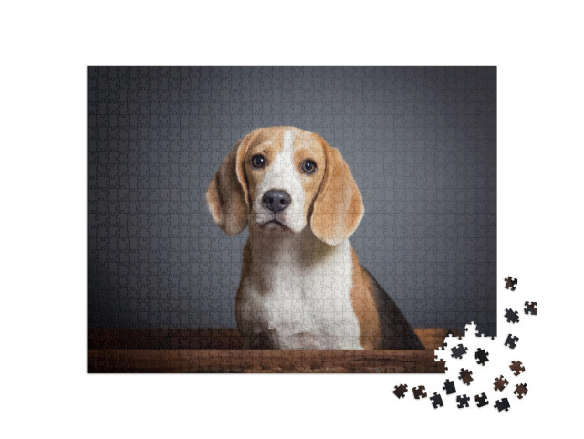 Puzzle 1000 pezzi „Ritratto di un cucciolo di beagle“