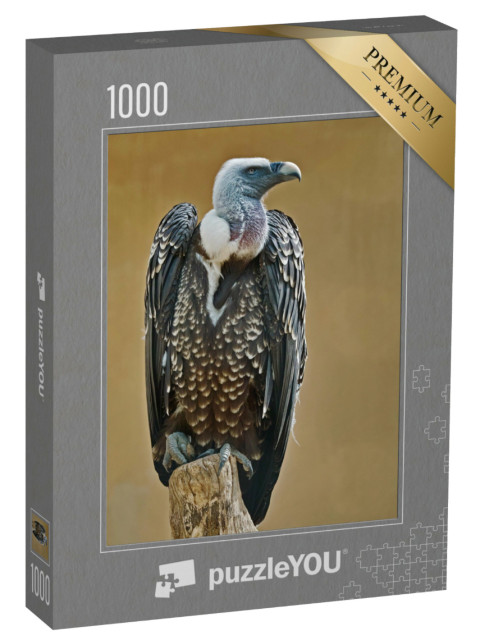 Puzzle 1000 pezzi „Esemplare di grifone di Rüppell“