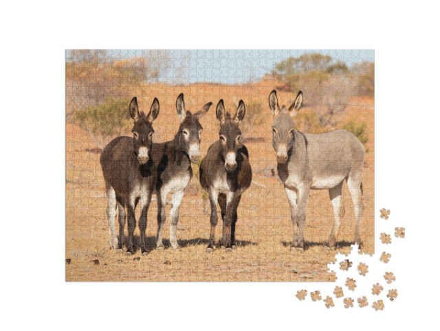 Puzzle 1000 pezzi „Asini nell'outback australiano“