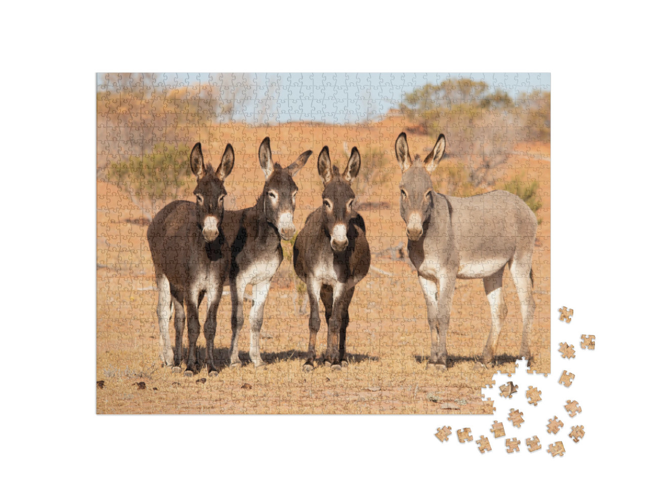Puzzle 1000 pezzi „Asini nell'outback australiano“