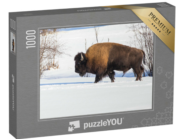 Puzzle 1000 pezzi „Bisonti americani nel bel mezzo del paesaggio invernale“